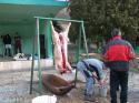 Operácia sa môže začať Operácia sa môže začať
